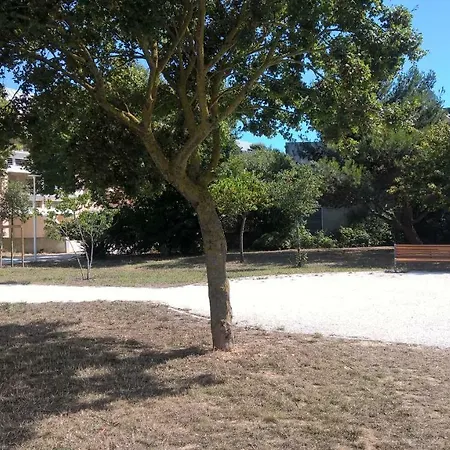 Apartment Le Carre
